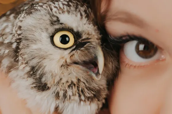 קזינו פיבר בינגו תמיכה